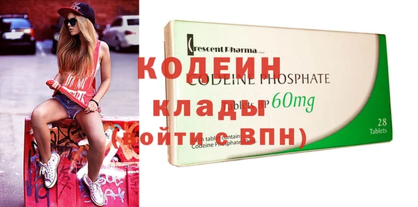 амф Вяземский