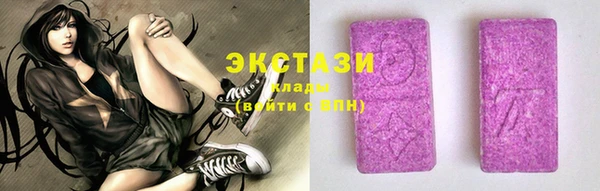 амф Вяземский