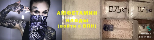 амф Вяземский