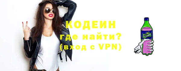 амф Вяземский
