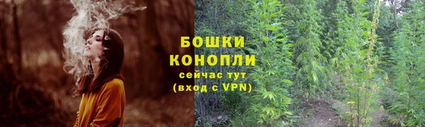 амф Вяземский