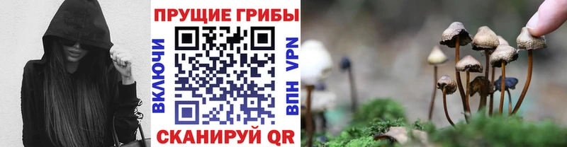 Галлюциногенные грибы Magic Shrooms  Альметьевск 